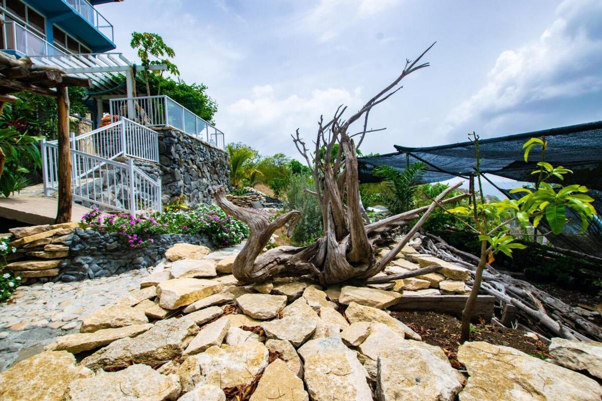 Garnet--A Gem At Dee'S Pearl Villa Carriacou Exterior foto